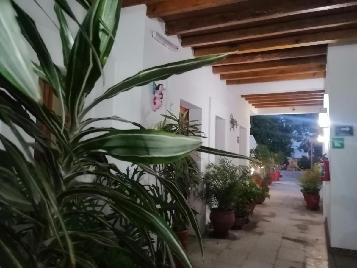 Hotel Aitana Oaxaca Bagian luar foto