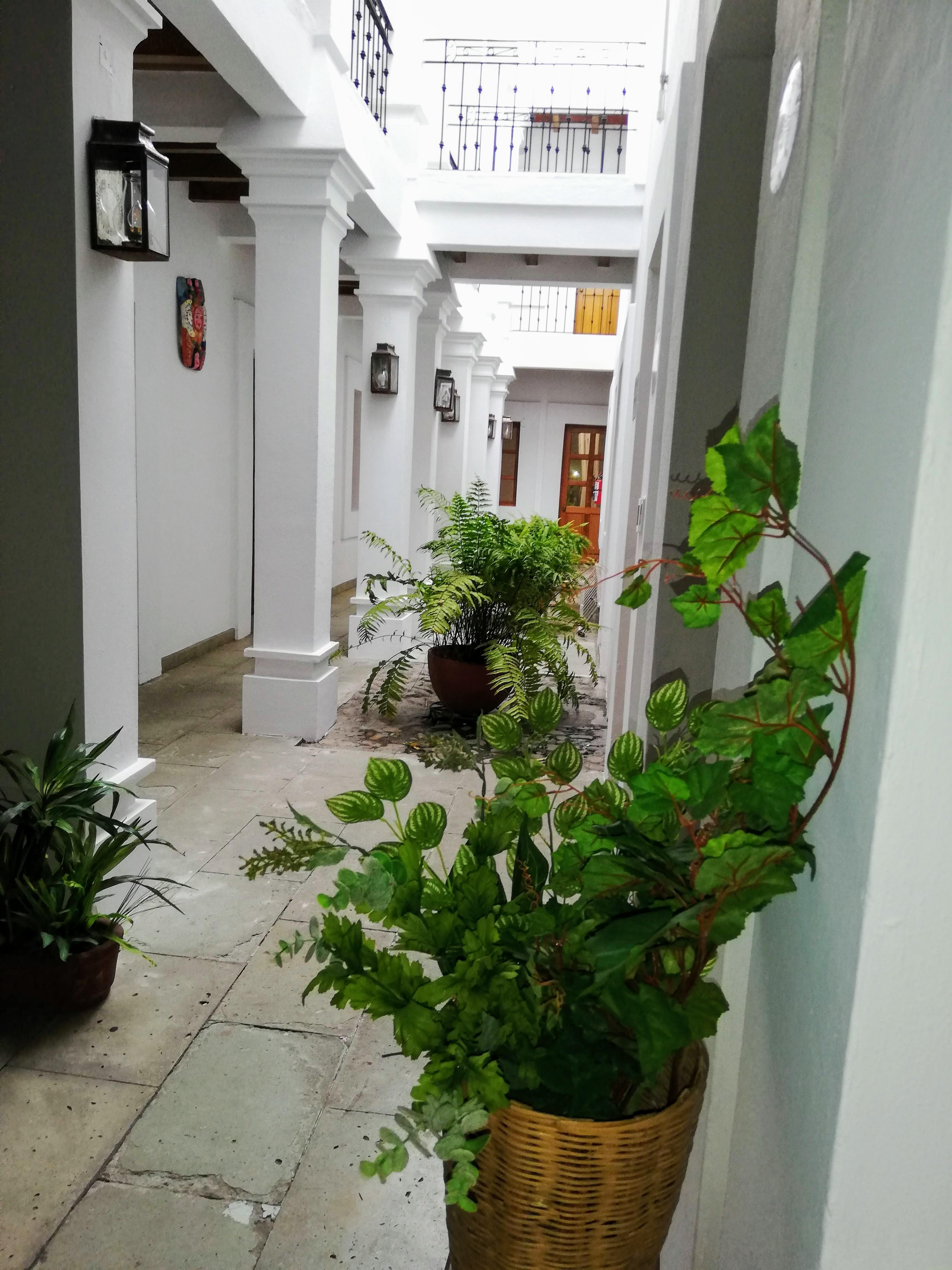 Hotel Aitana Oaxaca Bagian luar foto