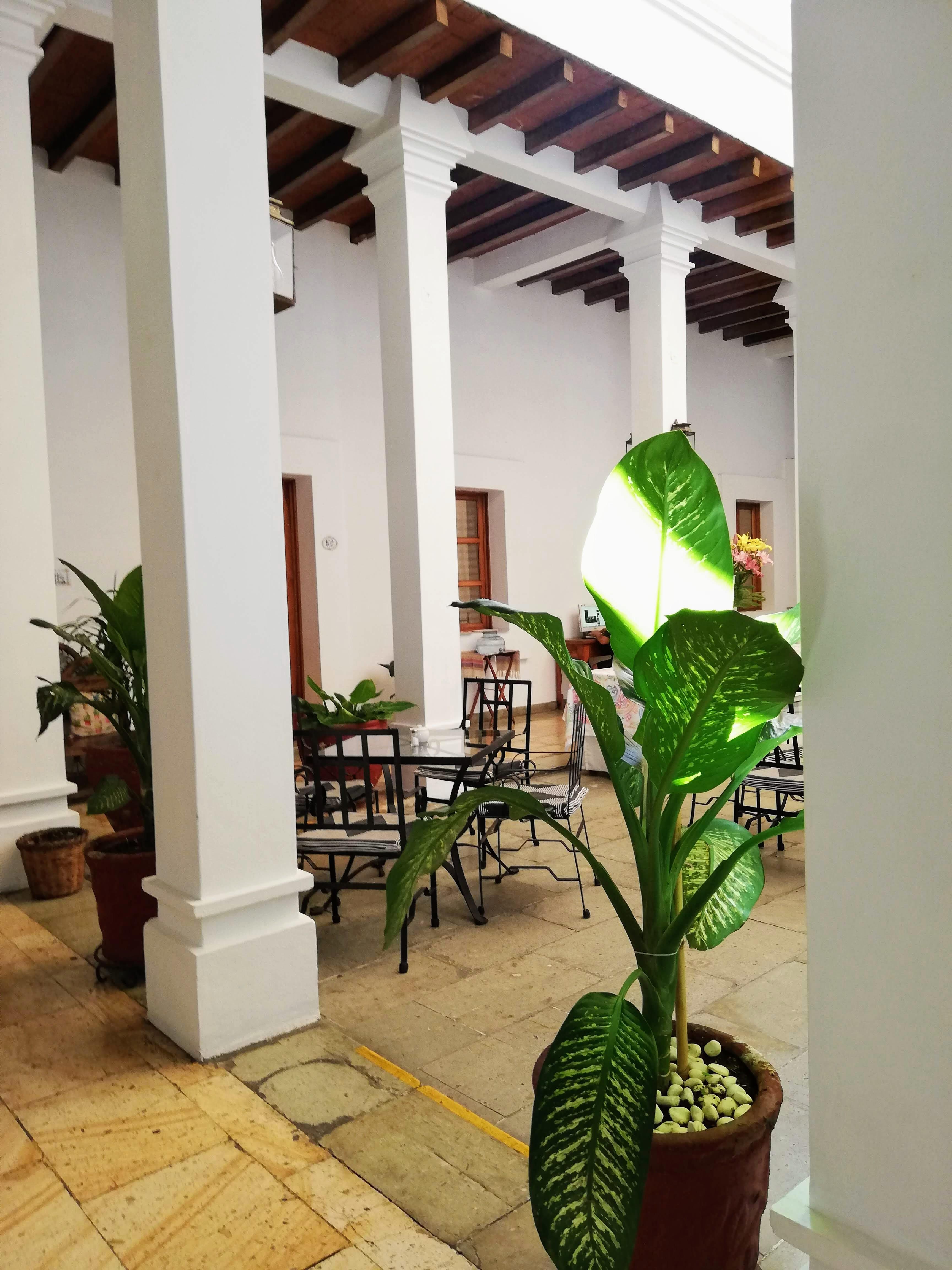 Hotel Aitana Oaxaca Bagian luar foto